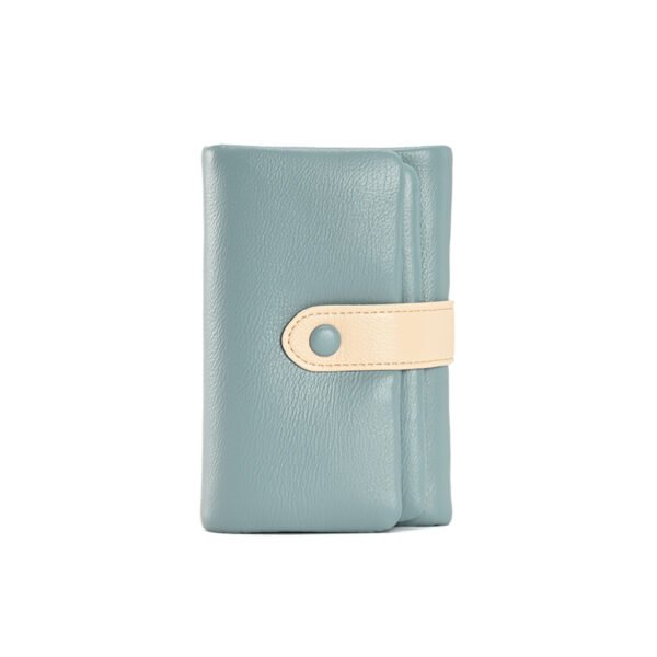 short wallet blue